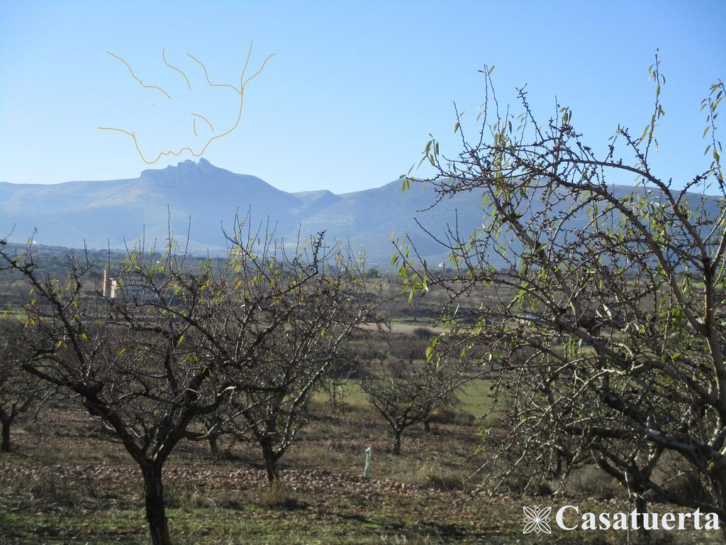 Alcalá de Moncayo Casa Tuertaヴィラ エクステリア 写真
