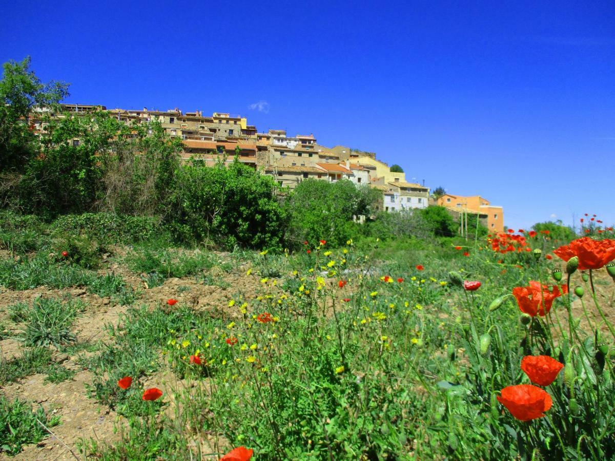 Alcalá de Moncayo Casa Tuertaヴィラ エクステリア 写真
