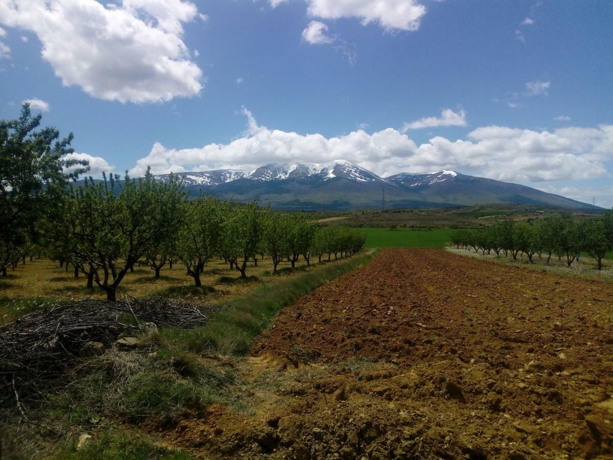 Alcalá de Moncayo Casa Tuertaヴィラ エクステリア 写真